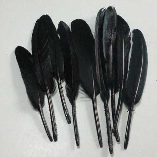 10 plumes naturelles noires 8 à 13cm