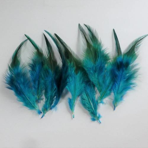 10 plumes naturelles turquoises  8 à 12cm