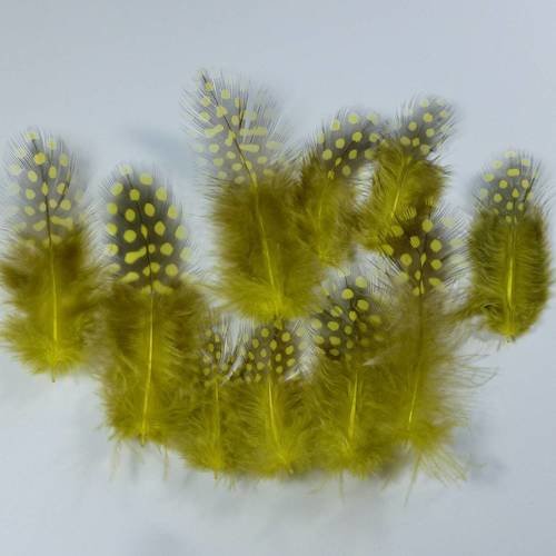 10 plumes naturelles jaunes 5 à 9cm