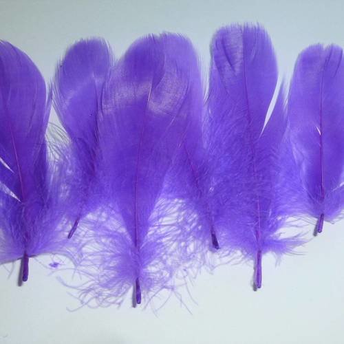 10 plumes d'oie violettes 11 à 14cm  naturelles