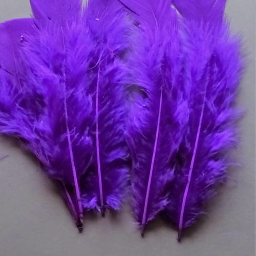 10 plumes naturelles violette 12 à 17cm