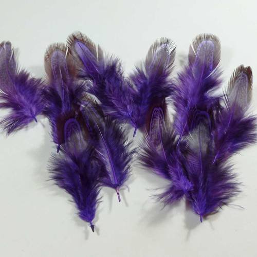 10 plumes violettes striées noires  5 à 9cm
