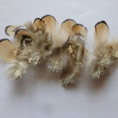 10 plumes naturelles beige et noire de 5 à 9cm