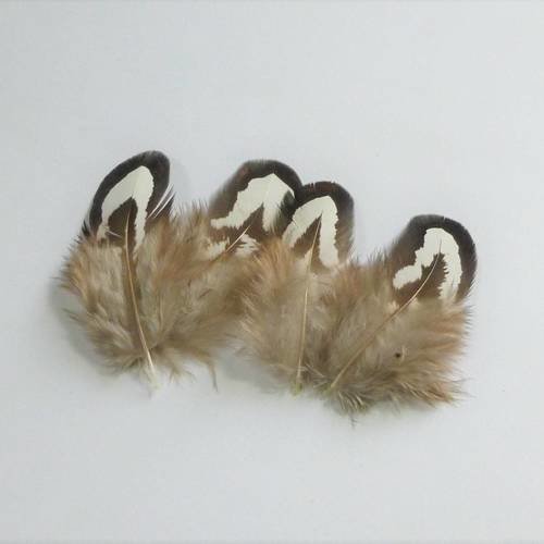 4 plumes naturelles noires et blanches de 5 à 6,5cm