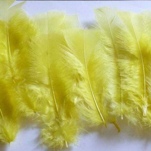 10 plumes naturelles jaune longueur 12 à 14cm