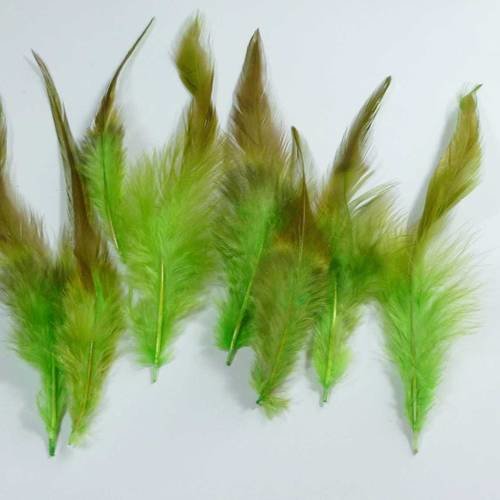 10 plumes naturelles 12 à 16cm