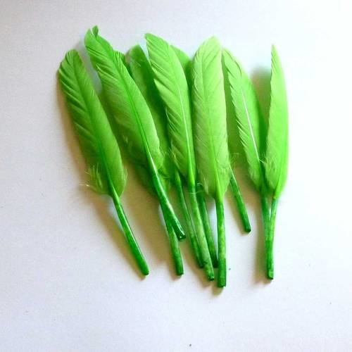 14 plumes naturelles vert clair 7 à 14cm