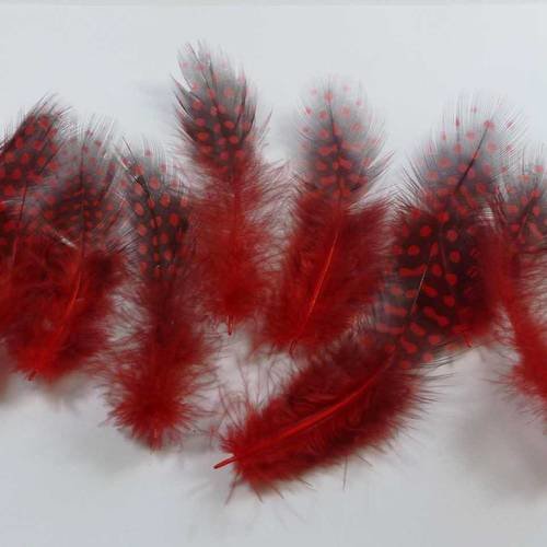 10 plumes naturelles rouges 8 à 14cm