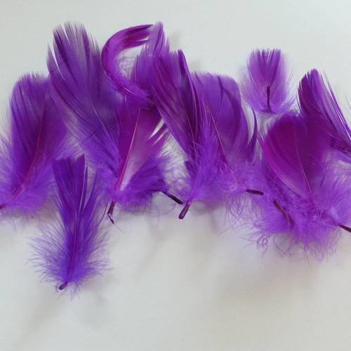 10 plumes naturelles prune-violet longueur de 7 à 14cm
