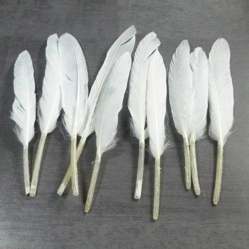 10 plumes naturelles blanches 6 à 15cm