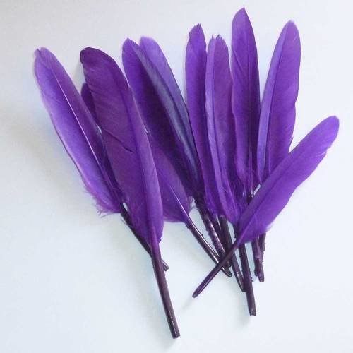 9 plumes naturelles violettes 7 à 14cm