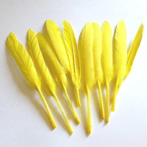 10 plumes naturelles jaunes  7 à 14cm