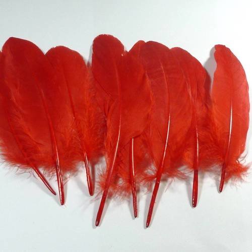 8 plumes naturelles couleur rouge longueur entre 15 et 20cm