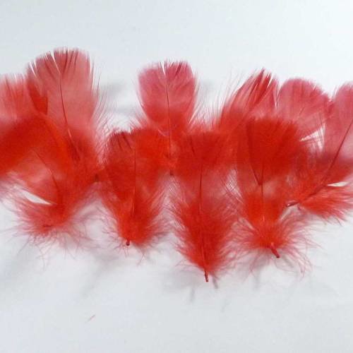 10 plumes naturelles couleur rouge 5 à 8cm