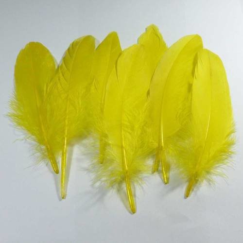 7 plumes naturelles jaune longueur entre 14 et 16cm