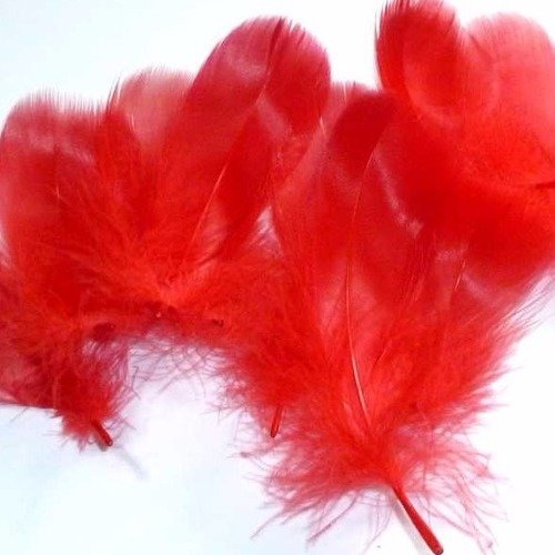 10 plumes naturelles rouges 7 à 14cm