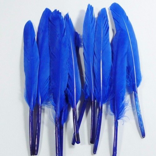 10 plumes naturelles bleues  11 à 15cm