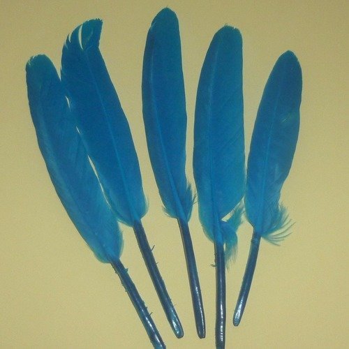 5 plumes naturelles bleu de 7 à 14cm