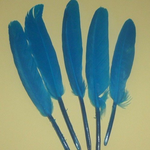 5 plumes naturelles bleues lagon de 12 à 14cm