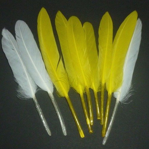 9 plumes naturelles jaunes et blanches de 10 à 14,5cm