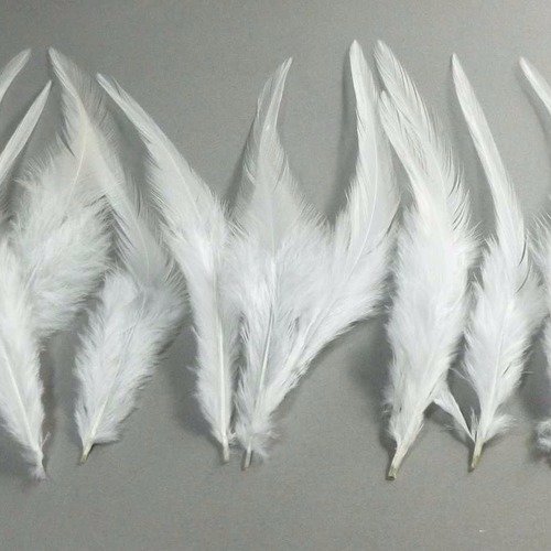 10 plumes naturelles blanches  10 et 14cm
