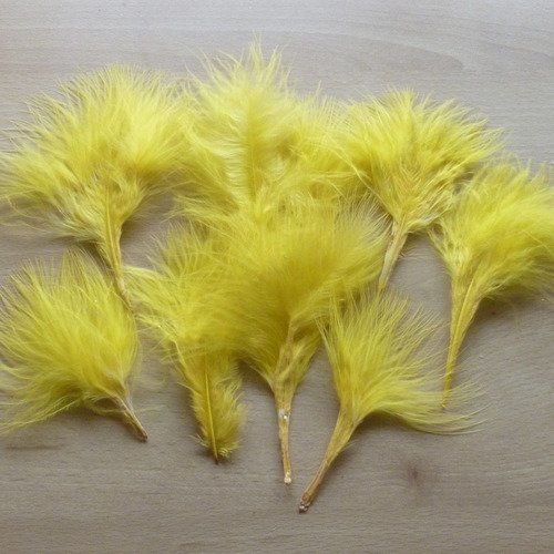 10 plumes naturelles jaunes 8 à 12cm