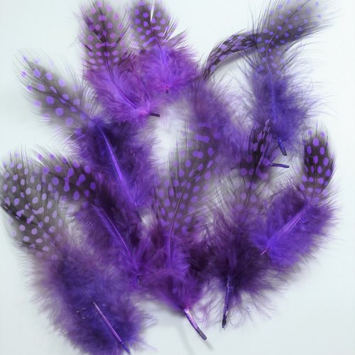 Réf.11 - 10 plumes violettes à point 8 à 11cm