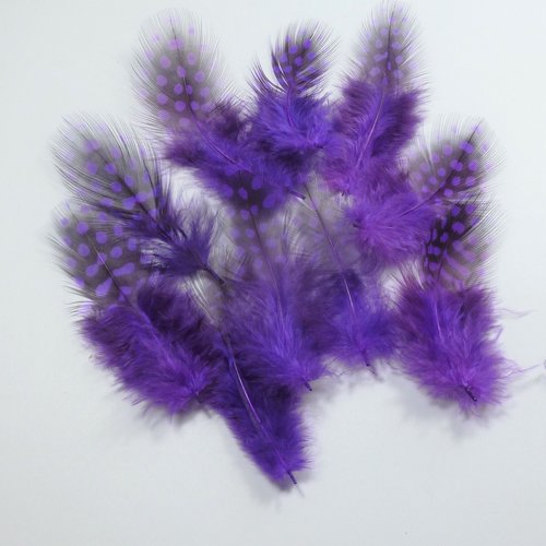 Réf.14 - 10 plumes violettes et noires 6 à 7cm