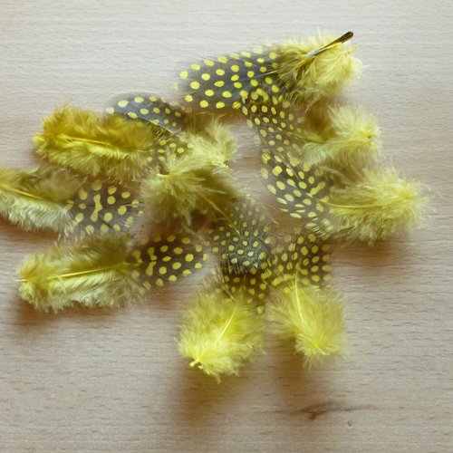 10 plumes naturelles jaunes à points noirs 5 à 7cm - réf.b