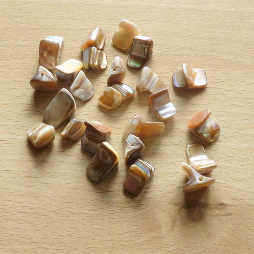 25 perles coquillages naturels percés 12mm