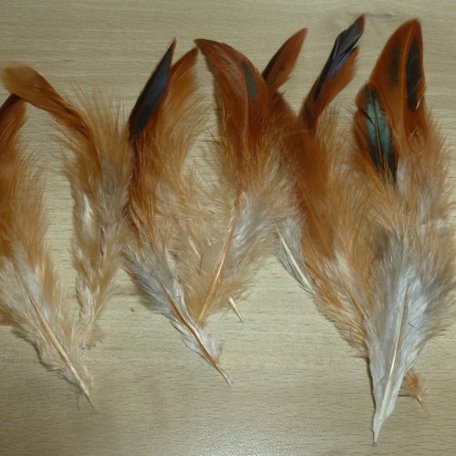 10 plumes naturelles de coq de 12 à 13cm - réf.g