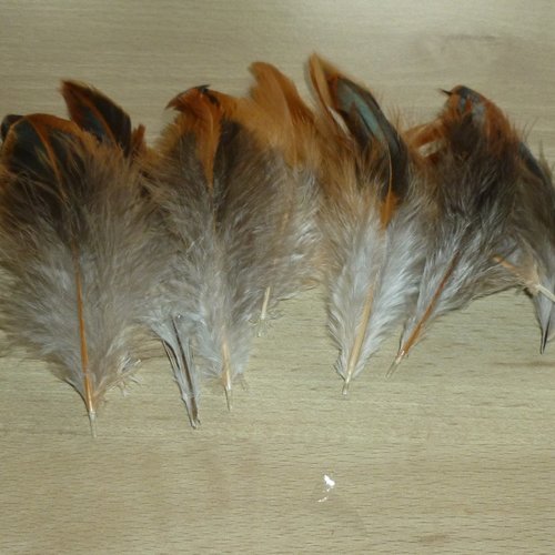 10 plumes naturelles de coq de 10 à 11cm - réf.h
