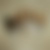 12 plumes naturelles de coq de 8 à 10cm - réf.i