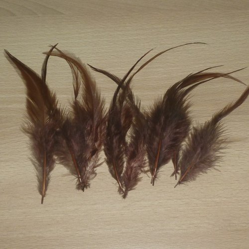 10 plumes marron 12 à 15cm