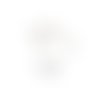 6.5 x 5 mm : 50 anneaux de jonction ovales ouverts en acier inoxydable 304, ap71