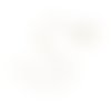 Collier en acier inoxydable doré, placage sous vide, 44 cm, ac319