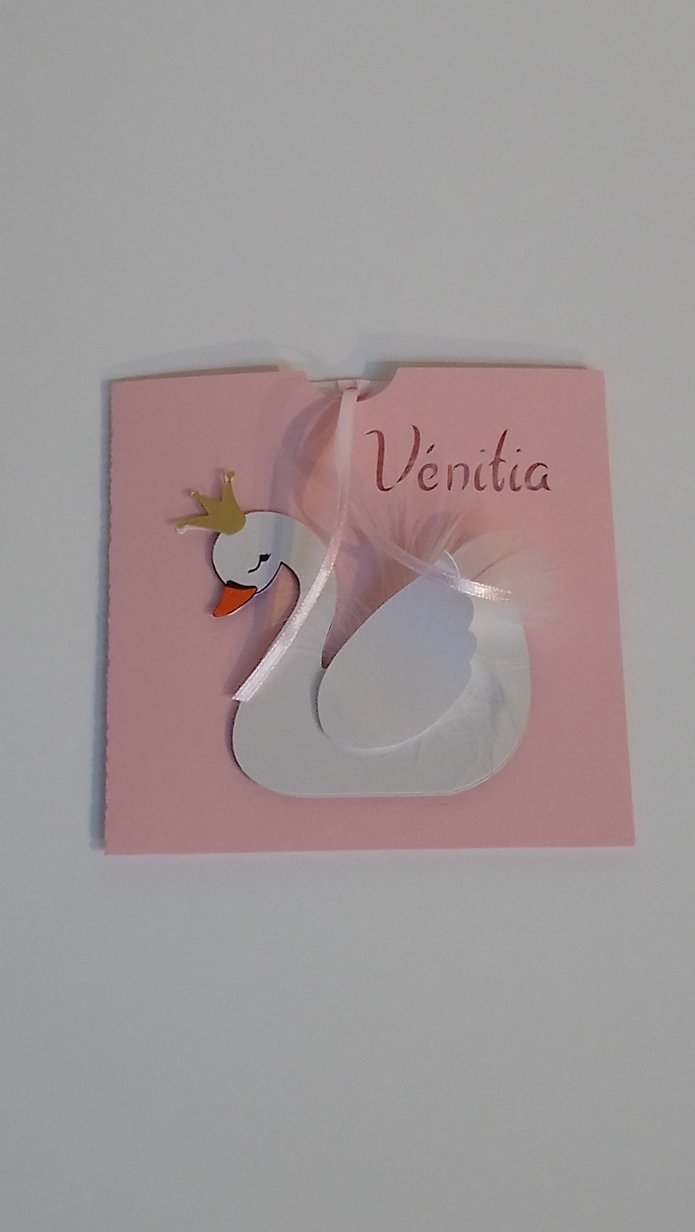 Livre D Or Cygne Bapteme Anniversaire Personnalise 3d Un Grand Marche