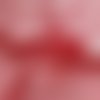 Coupon de popeline coton - 50 x 50 cm - rose pastèque