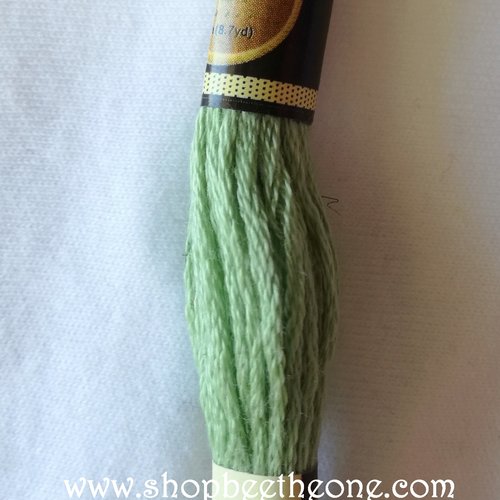Fil à broder - équivalent n° dmc 368 vert nil - écheveau de coton mouliné pour broderie - 8 m - 6 brins