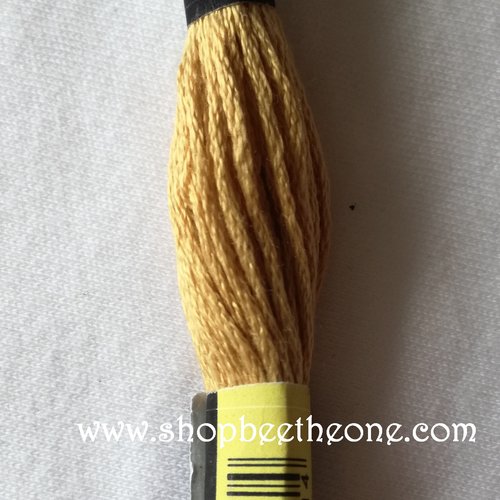 Fil à broder - équivalent n° dmc 422 chêne clair - écheveau de coton mouliné pour broderie - 8 m - 6 brins