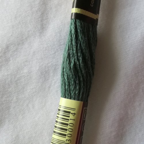 Fil à broder - équivalent n° dmc 501 vert étang - écheveau de coton mouliné pour broderie - 8 m - 6 brins