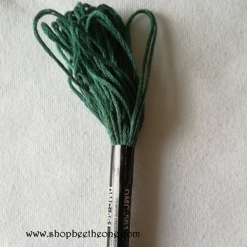 Fil à broder - équivalent n° dmc 561 vert cyprès - écheveau de coton mouliné pour broderie - 8 m - 6 brins