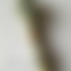 Fil à broder - équivalent n° dmc 3053 vert tweed - écheveau de coton mouliné pour broderie - 8 m - 6 brins