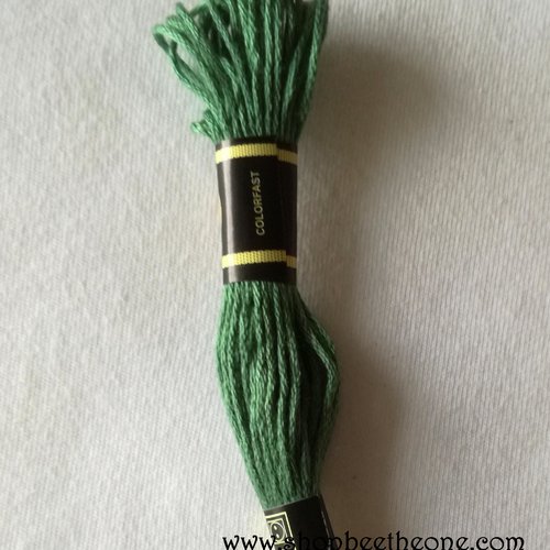 Fil à broder - équivalent n° dmc 3815 vert amandier - écheveau de coton mouliné pour broderie - 8 m - 6 brins