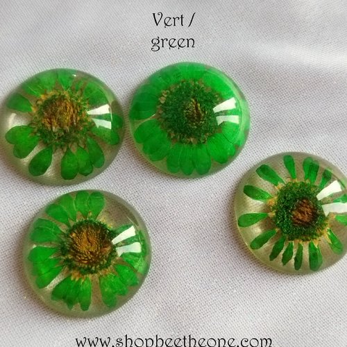 Cabochon rond en verre loupe avec fleur séchée - 25 mm - vert