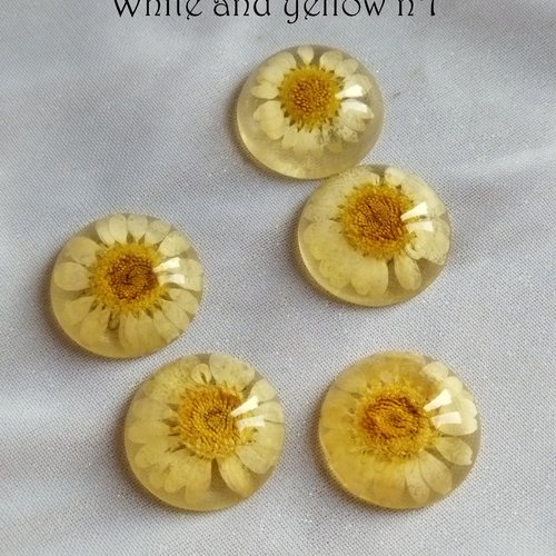 Cabochon rond en verre loupe avec fleur séchée - 25 mm - blanc-jaune n°1