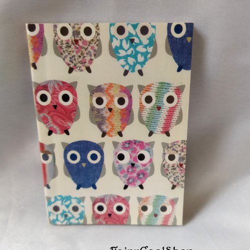 Cahier/notebook - 10,5 x 7,5 cm - 80 pages - hiboux chouettes