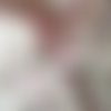 Coupon de seersucker coton "chat blanc marie" - 25 x 25 cm