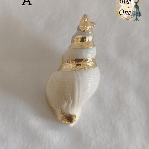 Breloque pendentif coquillage naturel buccin - modèle a (48 mm) - naturel/doré