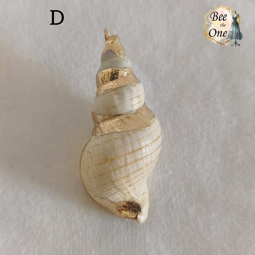Breloque pendentif coquillage naturel buccin - modèle d (47 mm) - naturel/doré